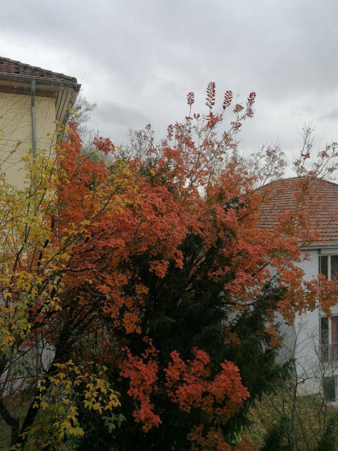 Gaestehaus Goethe-Institut シュヴェービッシュ・ハル エクステリア 写真
